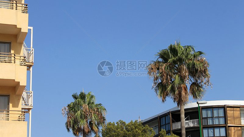 公司团建拓展活动定制方案